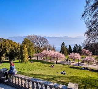 Frühling Lausanne Park: Hotel Continental Lausanne