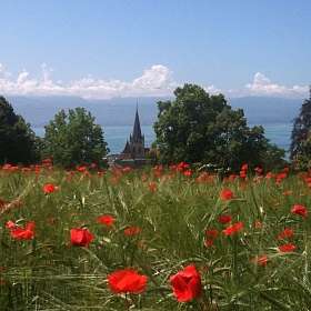 Aussicht Park Hermitage © Fondation de l`Hermitage