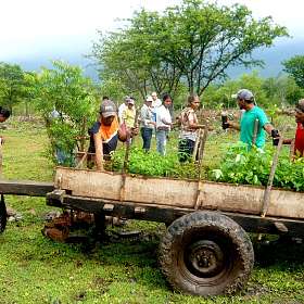 hotel continental lausanne support cause we care project nicaragua climate protection